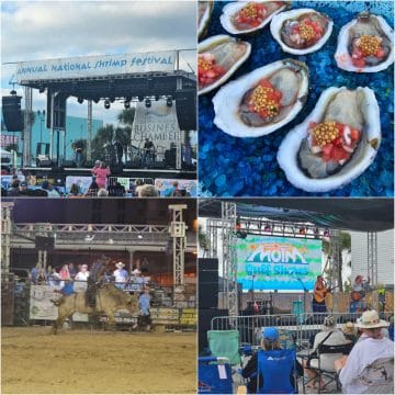 collage of four photos with Annual National Shrip Festival, oysters, bulls on the beach, and a meeting of the minds concert