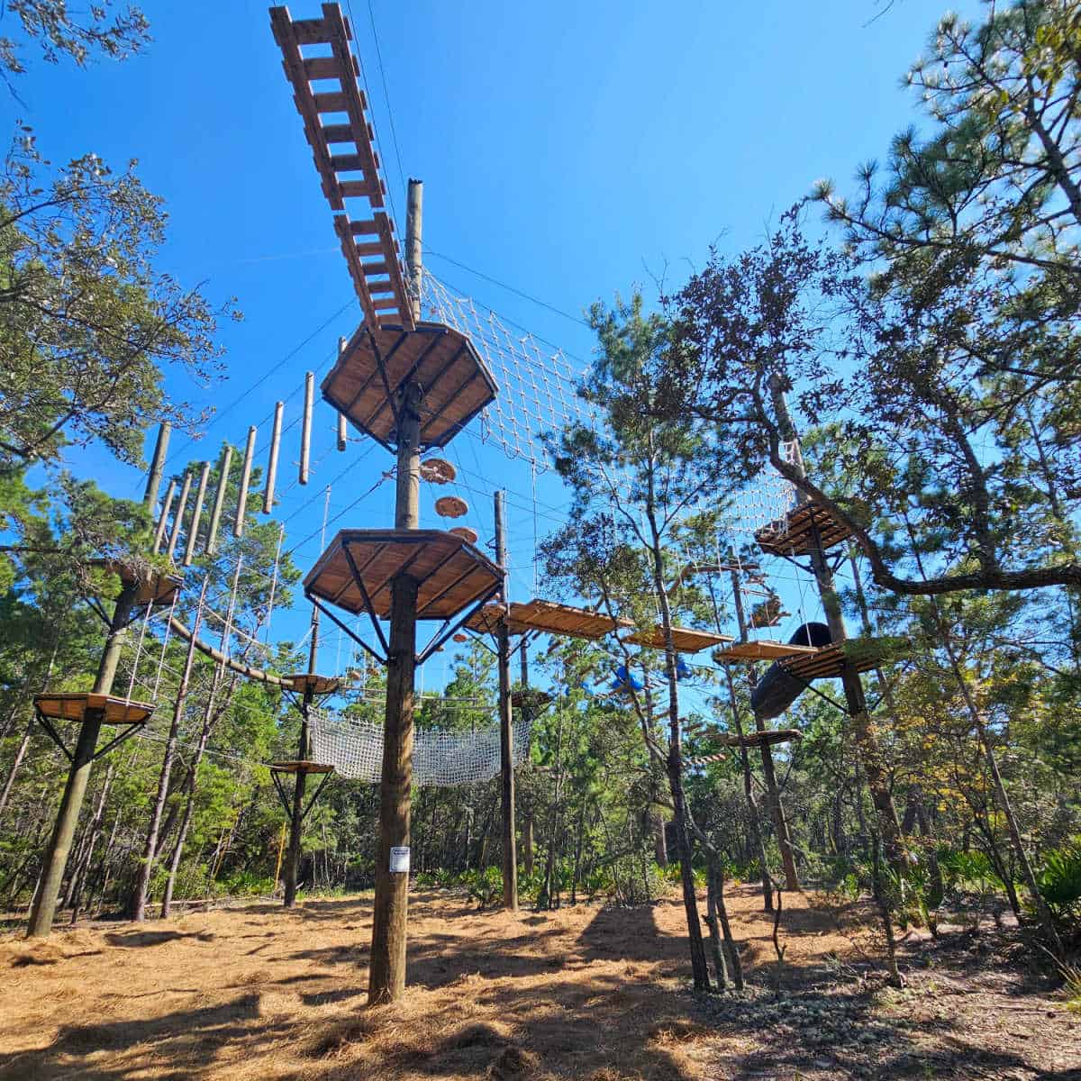 High ropes course with platforms and safety nets in a forest setting.