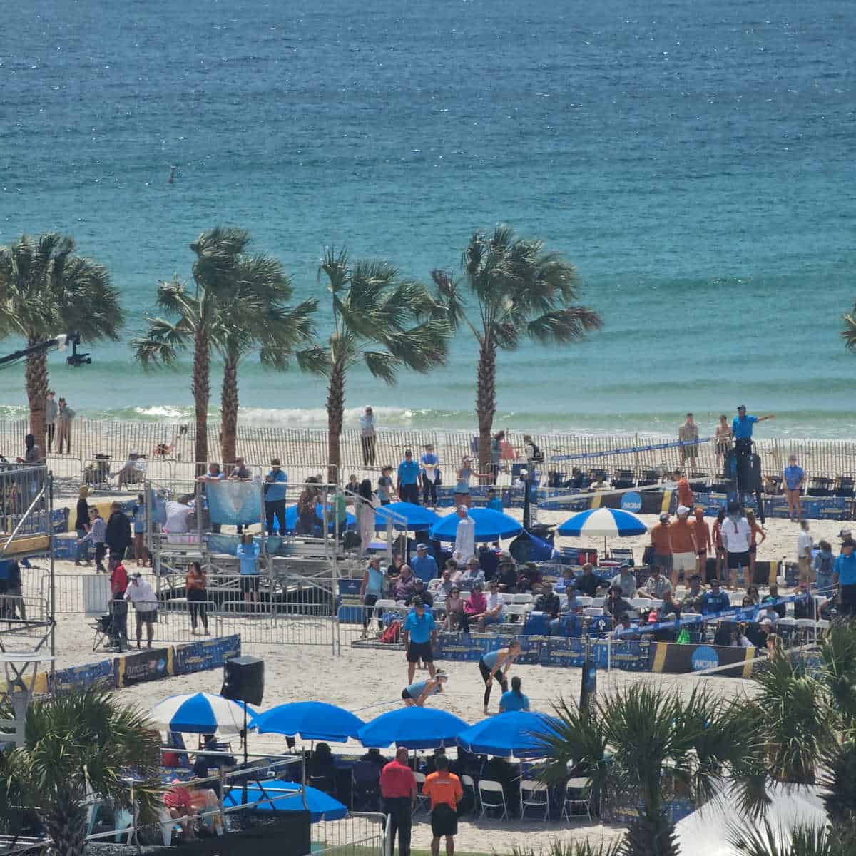 looking over the NCAA Beach volleyball championship court with palm trees and Gulf water in the background