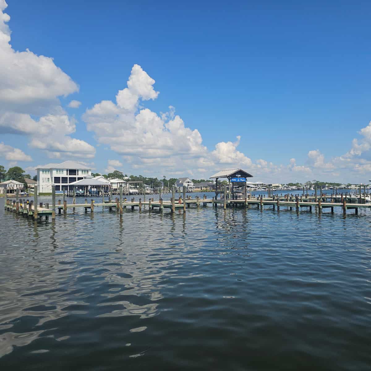 boat marina with houses across the water