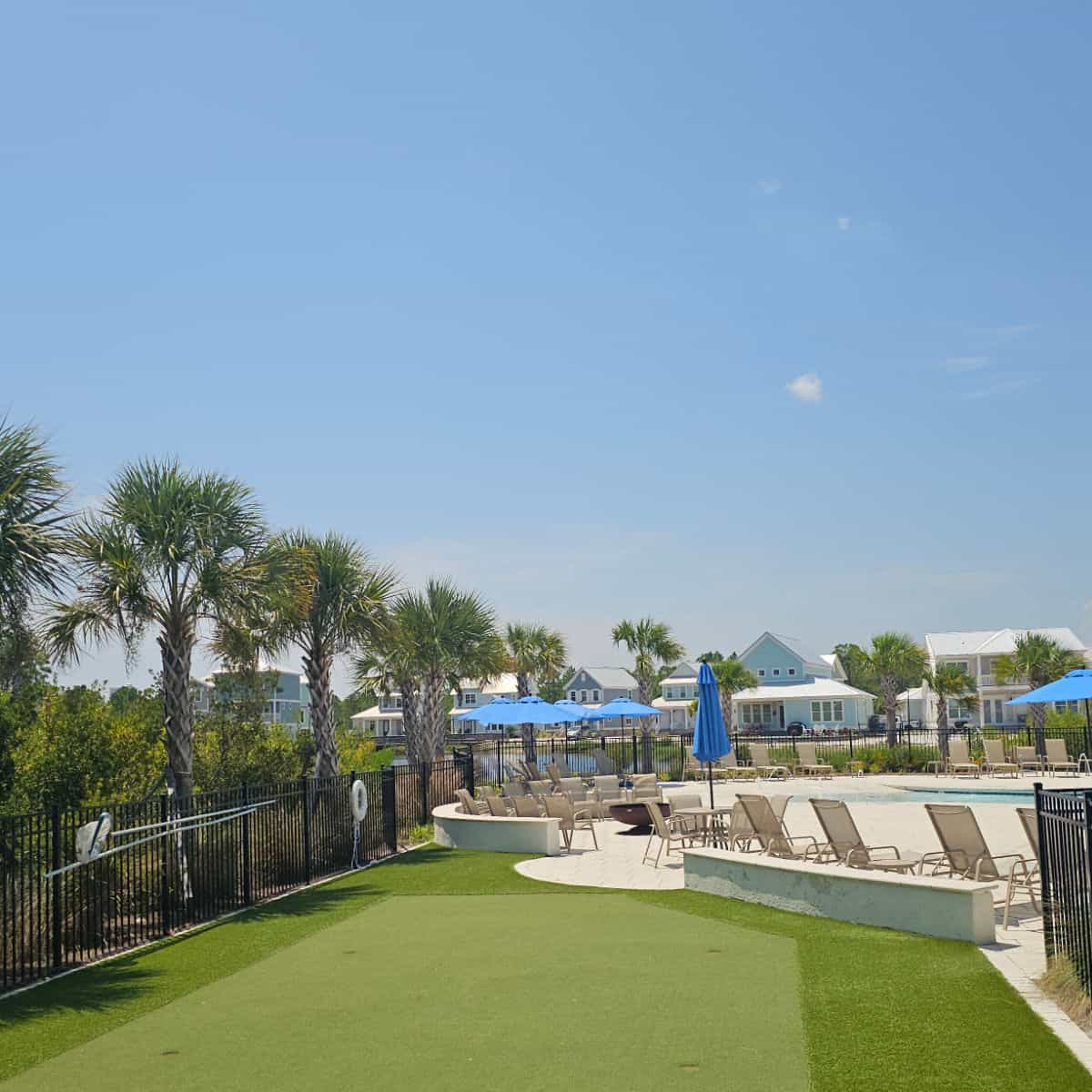 putting green and deck chairs with umbrellas around the pool, palm trees along the fence line