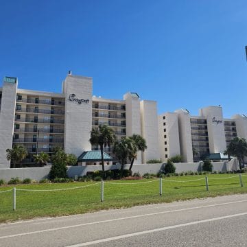 Wind Drift buildings next to each other seen from the road with palm trees in front of them