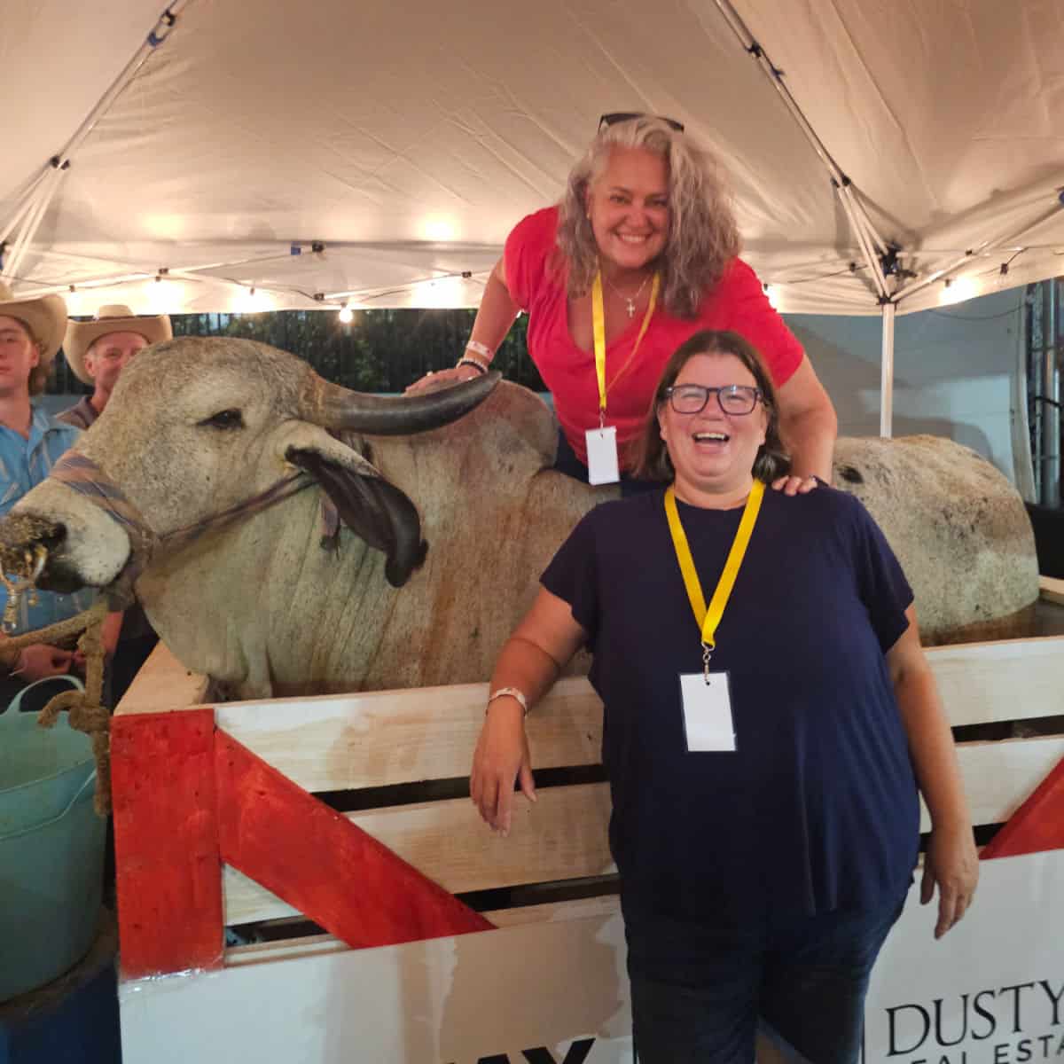 brand sitting on a white bull with Tammilee standing next to it