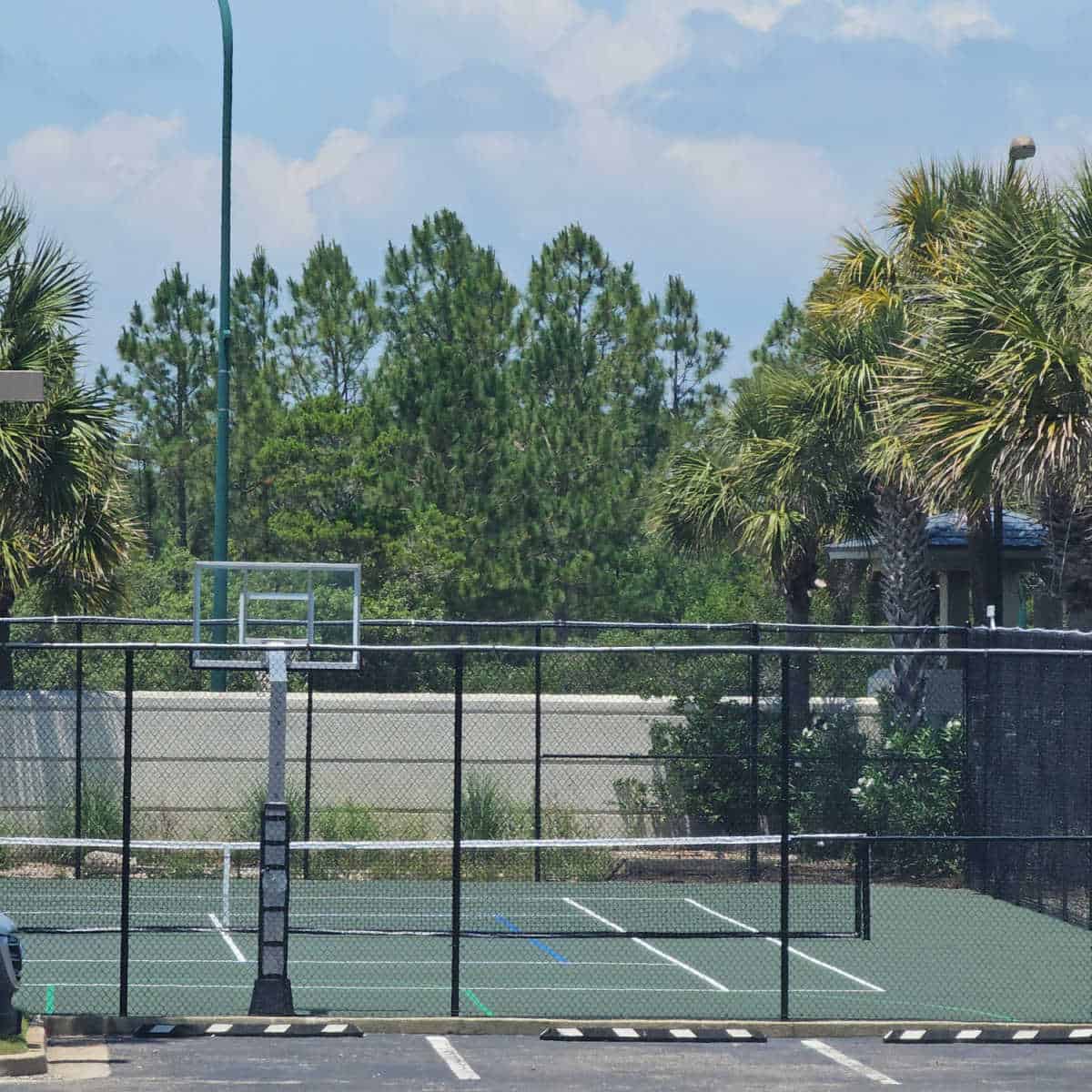 Tennis court with basketball hoop behind a tall fence, palm trees behind it