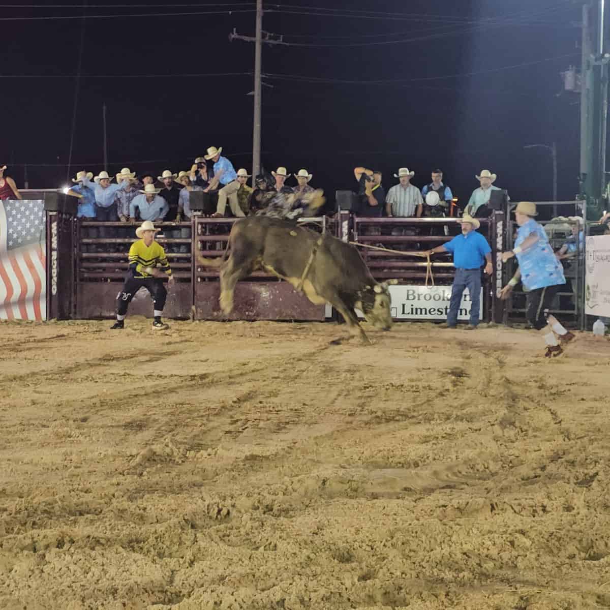 brown bull kicking its back legs and rodeo cowboys are nearby,