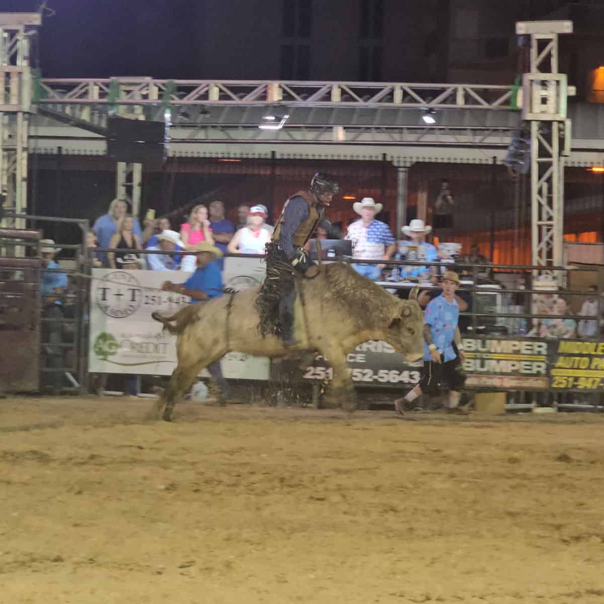 bull jumping with a cowboy riding it at Flora Bama Bulls on the Beach, people on a grandstand behind it