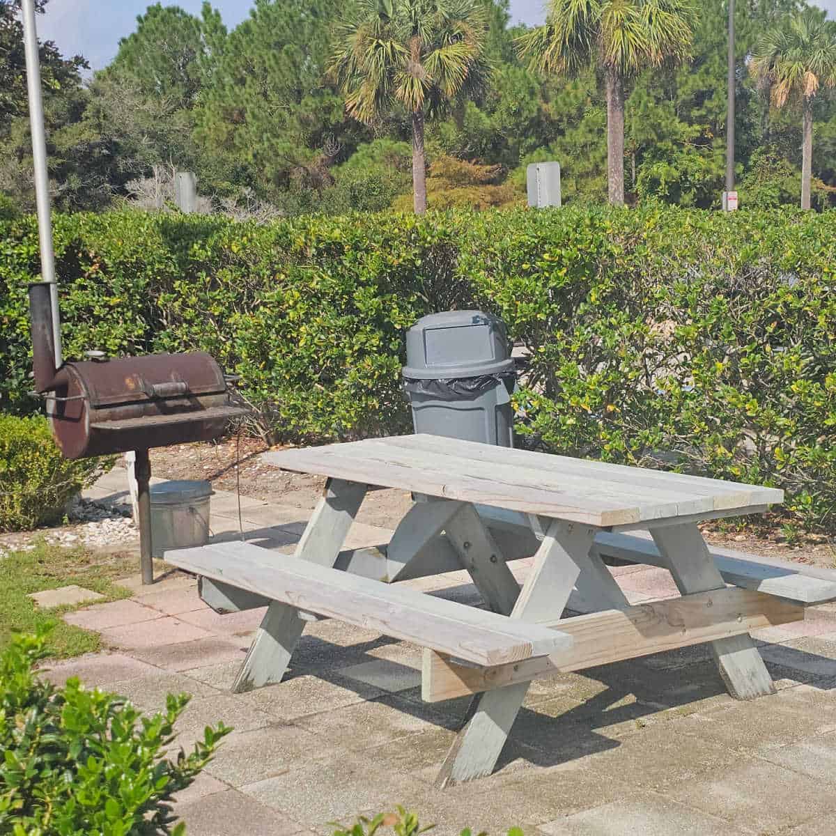 Picnic table next to a BBQ and trash can surrounded by shrubs and palm trees in the background
