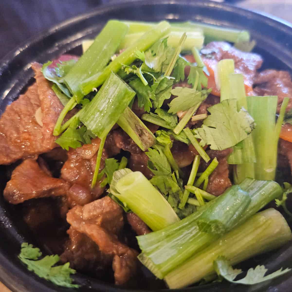 Beef clay pot with green onions in a dark bowl