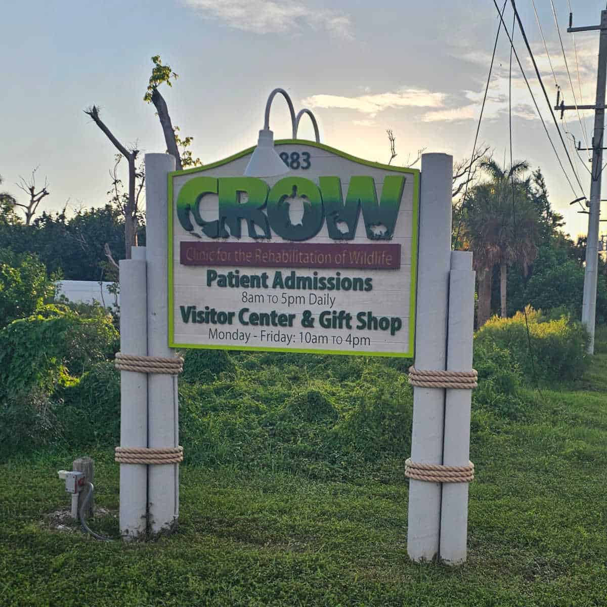 CROW Clinic for the Rehabilitation of Wildlife entrance sign and patient admissions
