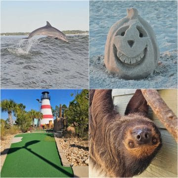 collage of four photos with a dolphin leaping on the top left, a sand pumpkin on the top right, lighthouse mini golf hole on the bottom left, and a sloth face on the bottom right