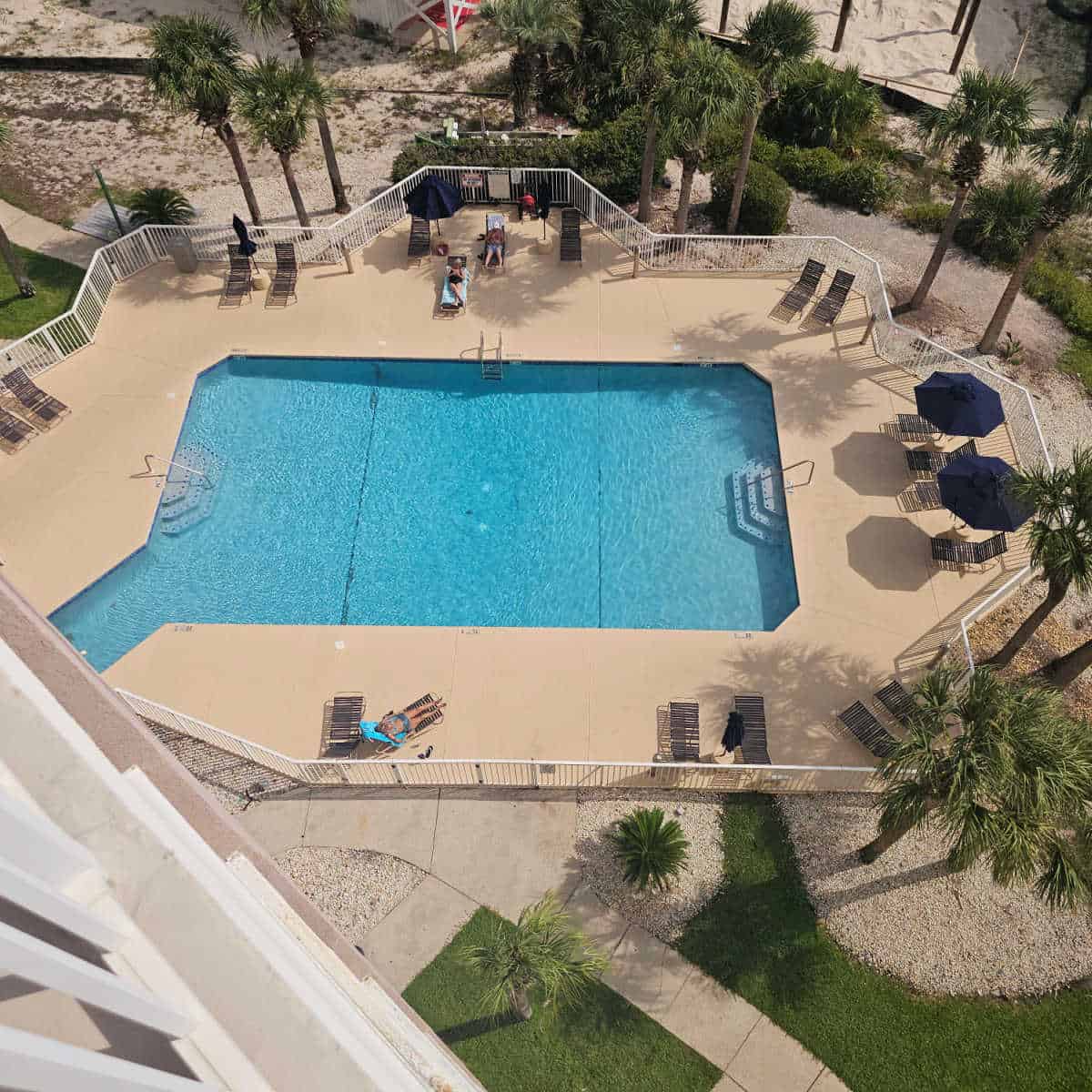 looking down over the outdoor pool with people lounging on the pool deck, palm trees just outside the pool area