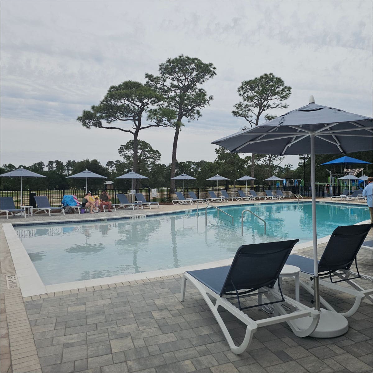 pool with chairs and umbrellas surrounding the pool deck, tall trees in the background