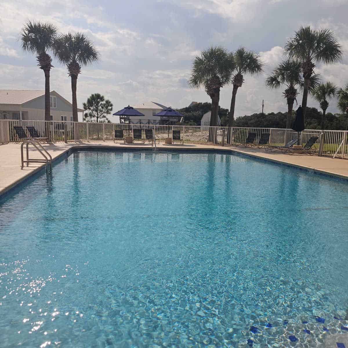 outdoor pool with lounge chairs around the deck, with a fence around the pool area, palm trees on the other side of the fence