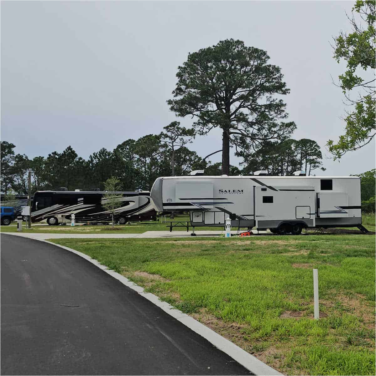 looking down the road to RVs backed into campsites with trees around them
