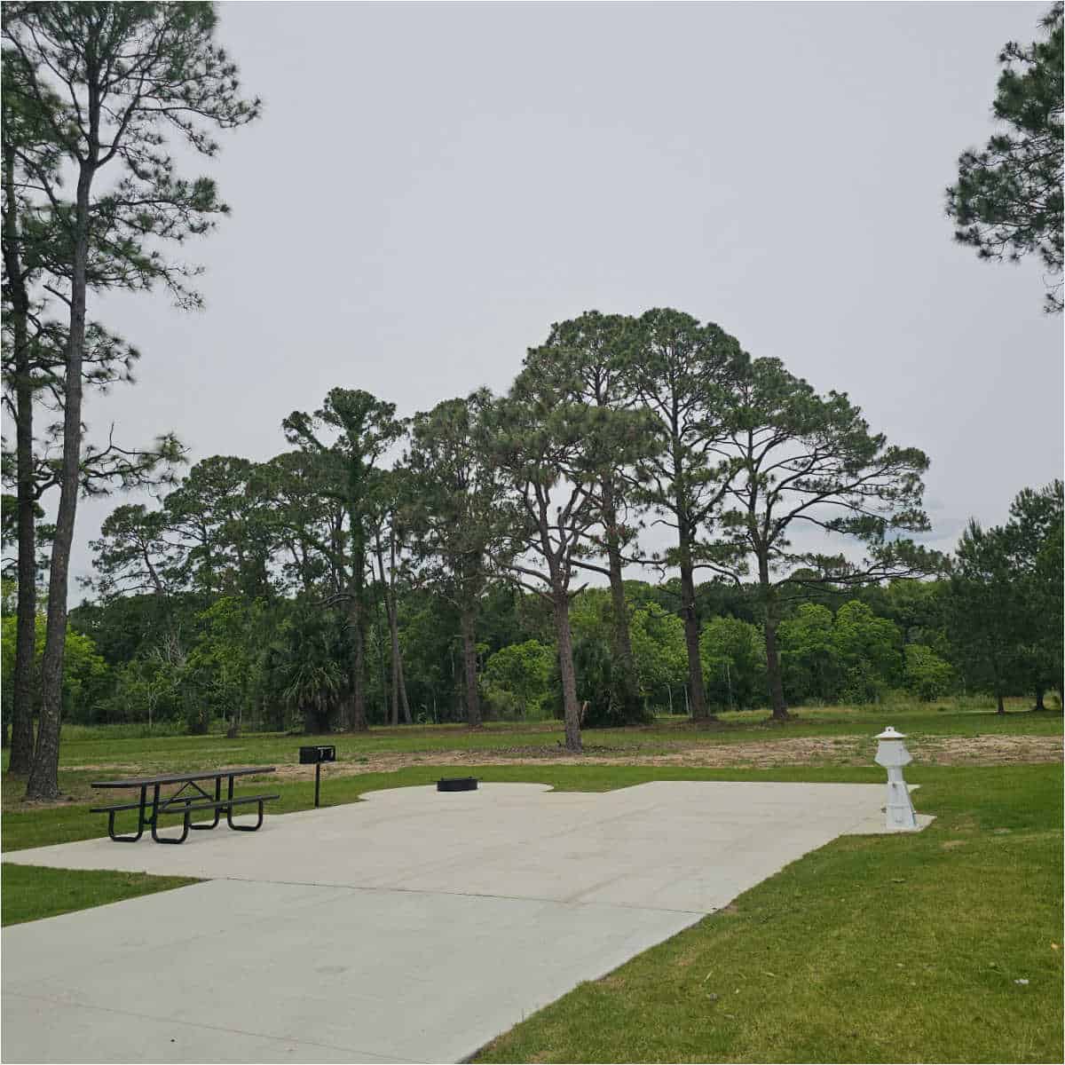 Park scene with tall pine trees, picnic table, and a fire hydrant.