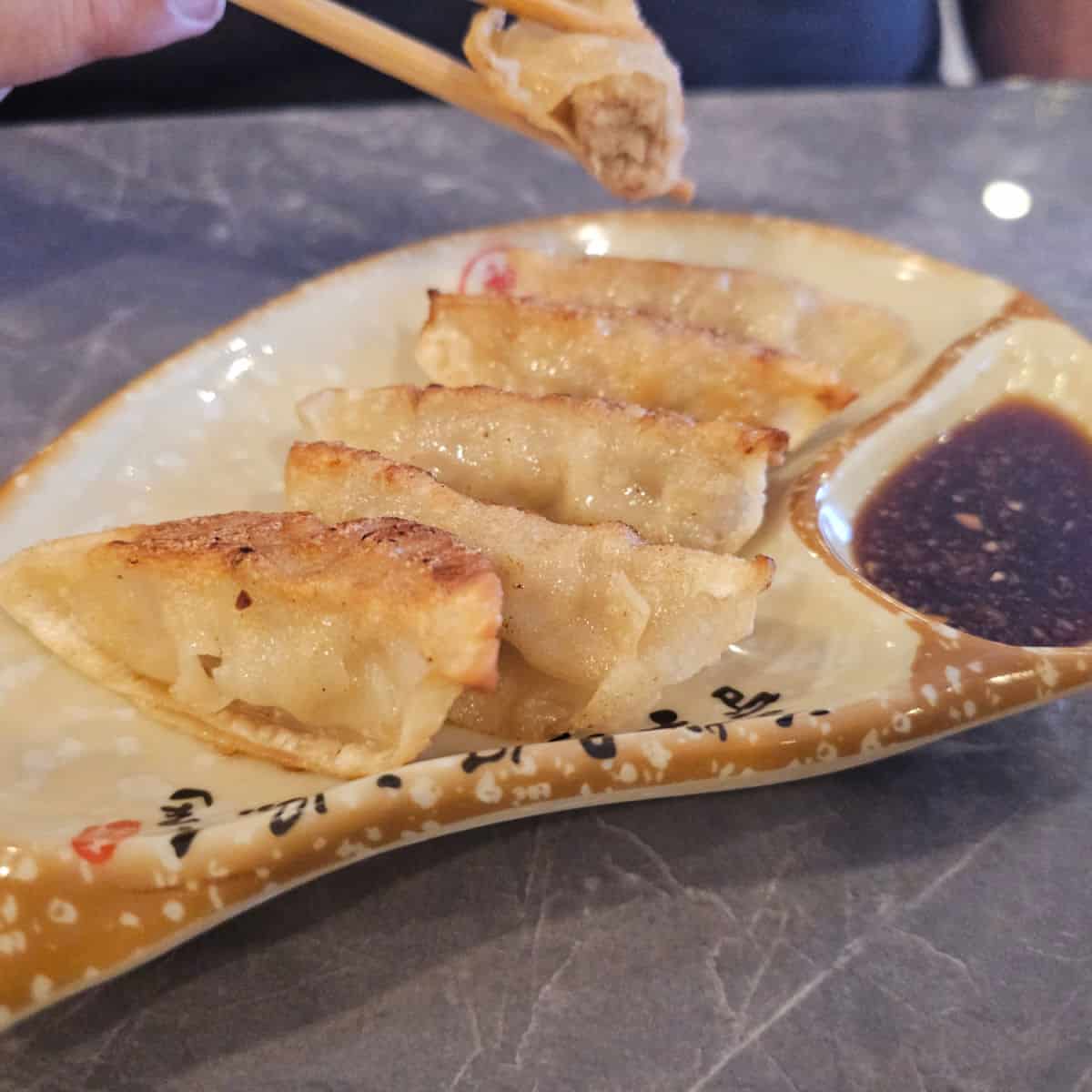 dumpling on a plate with sauce while a hand holds chopsticks with a half eaten dumpling over the plate