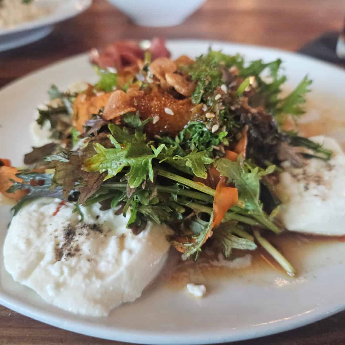 burrata salad with carrots and seeds on a white plate