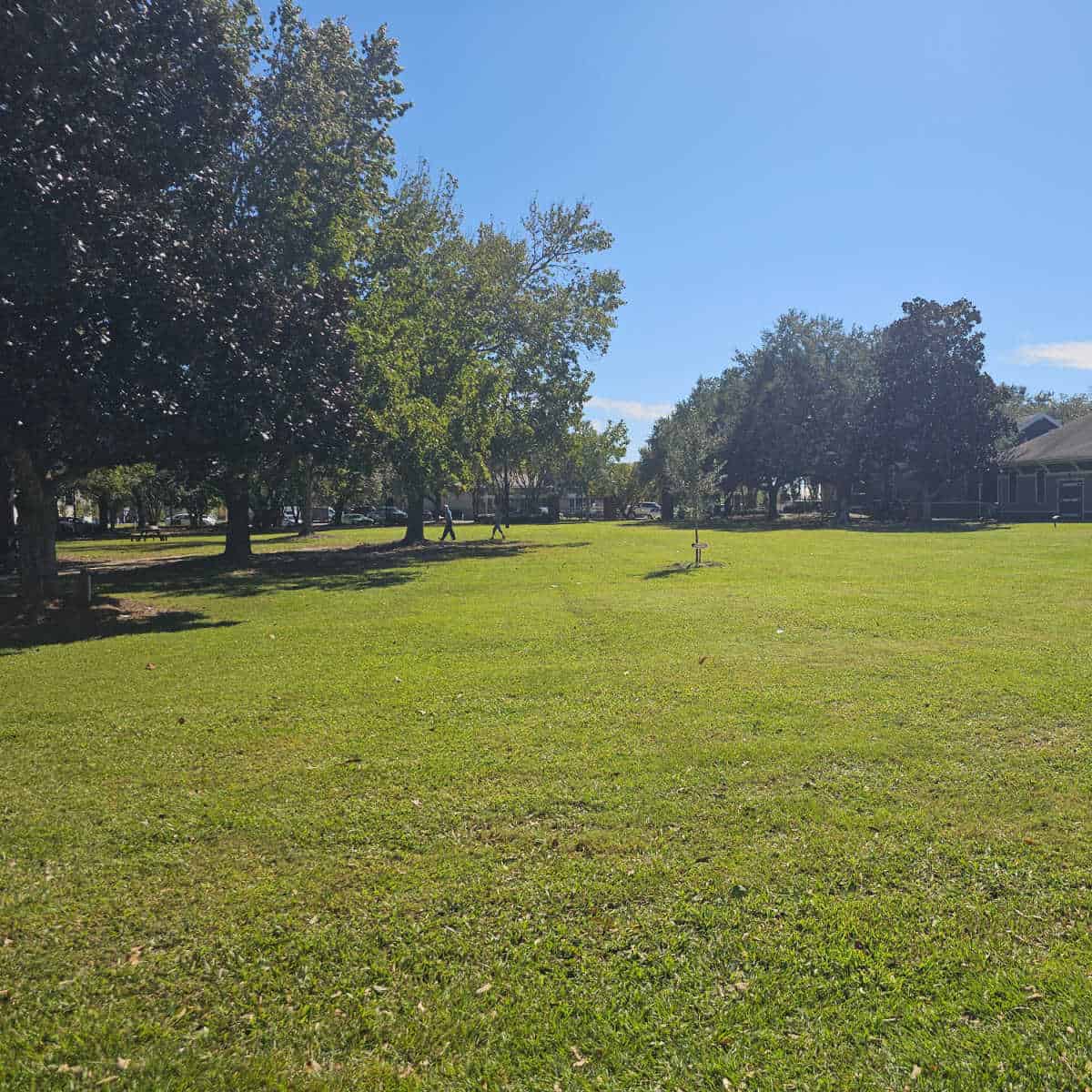 grassy area with trees on the left side and museum building in the far right corner