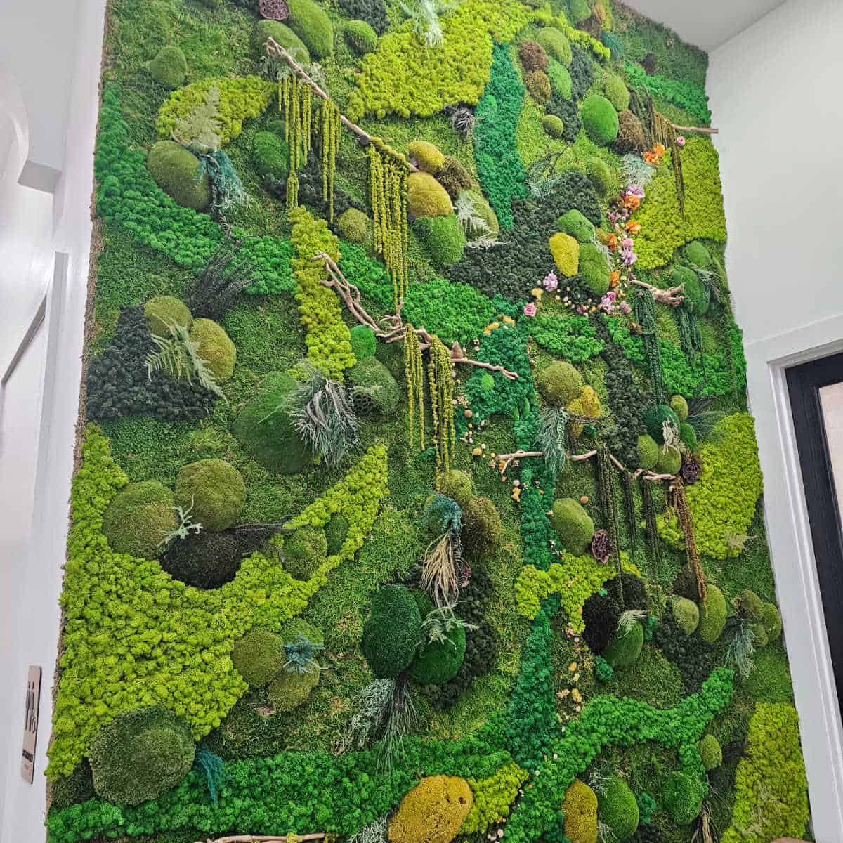 living moss wall with different color moss